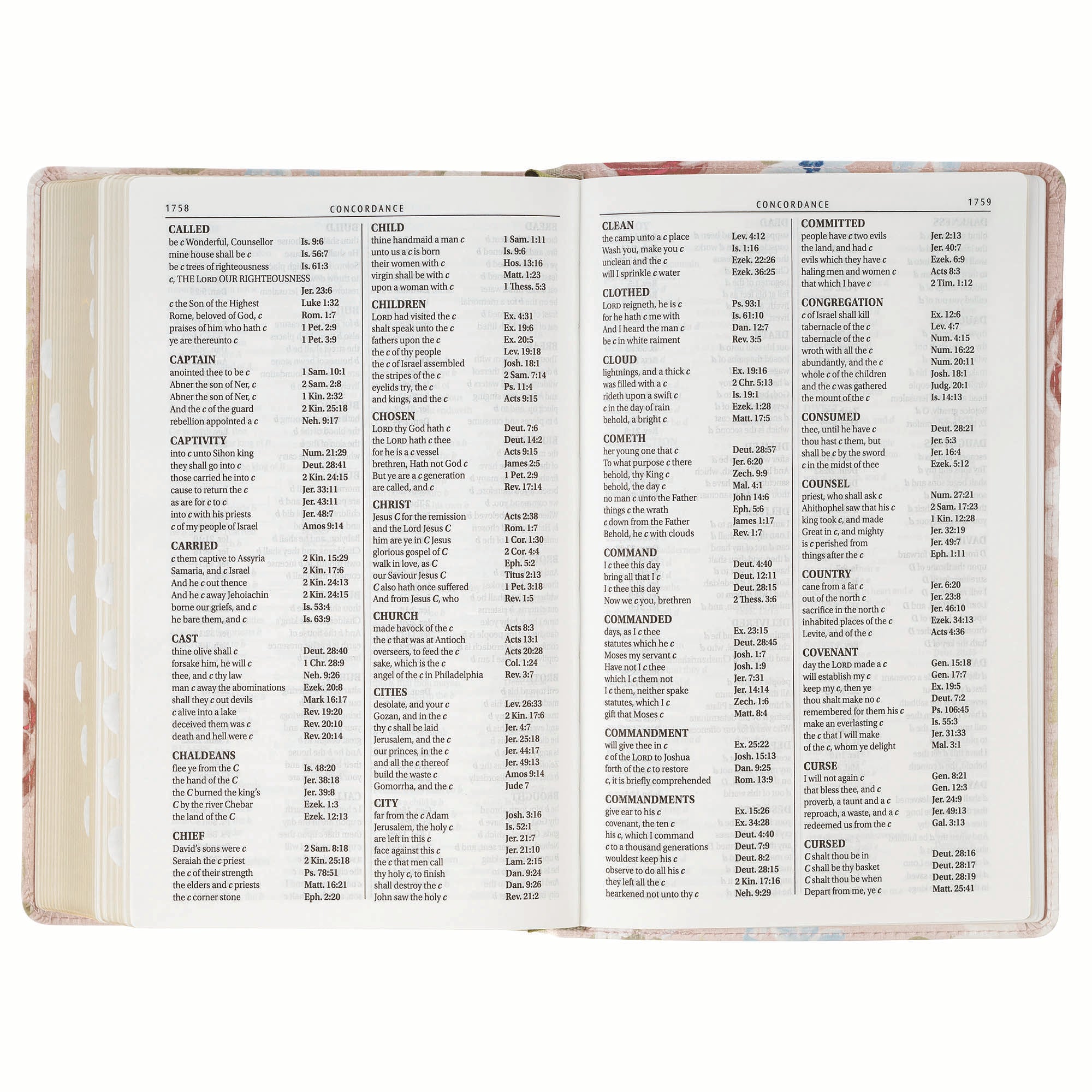 KJV Bible Giant Print Standard-size Pink Floral Printed (Jer. 29:11)