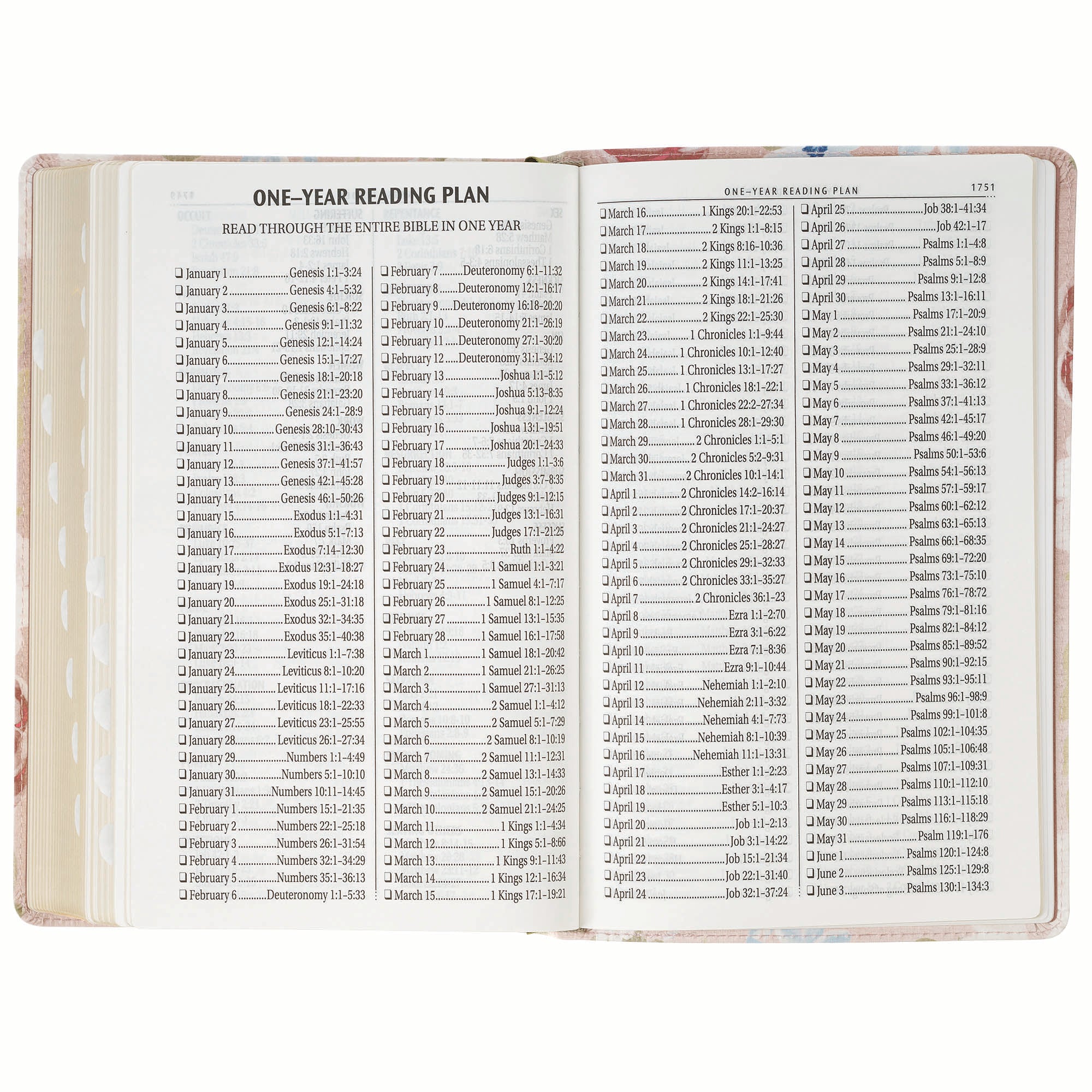 KJV Bible Giant Print Standard-size Pink Floral Printed (Jer. 29:11)