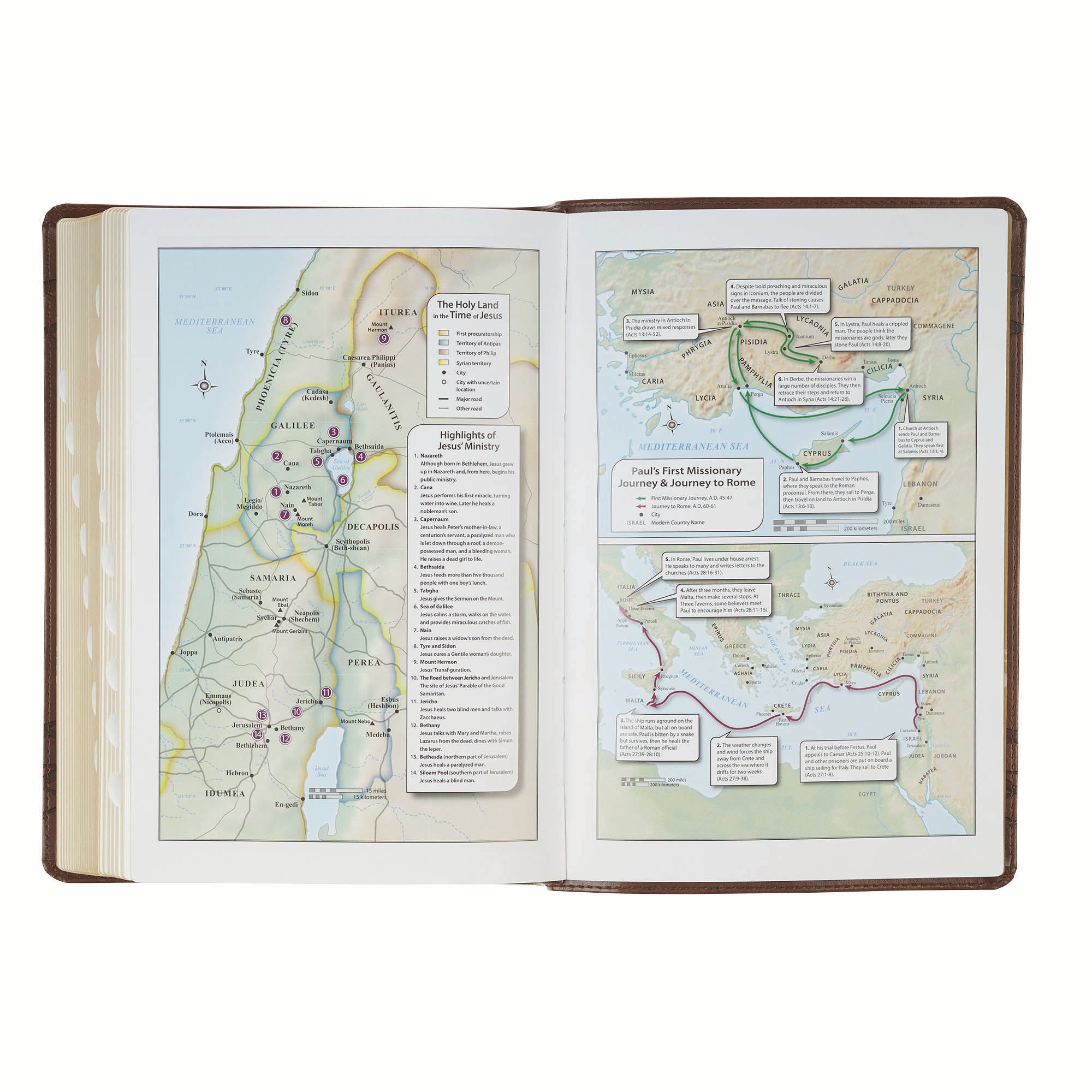 KJV Bible Giant Print Full-size, Crown of Thorns/Amazing Grace, Brown