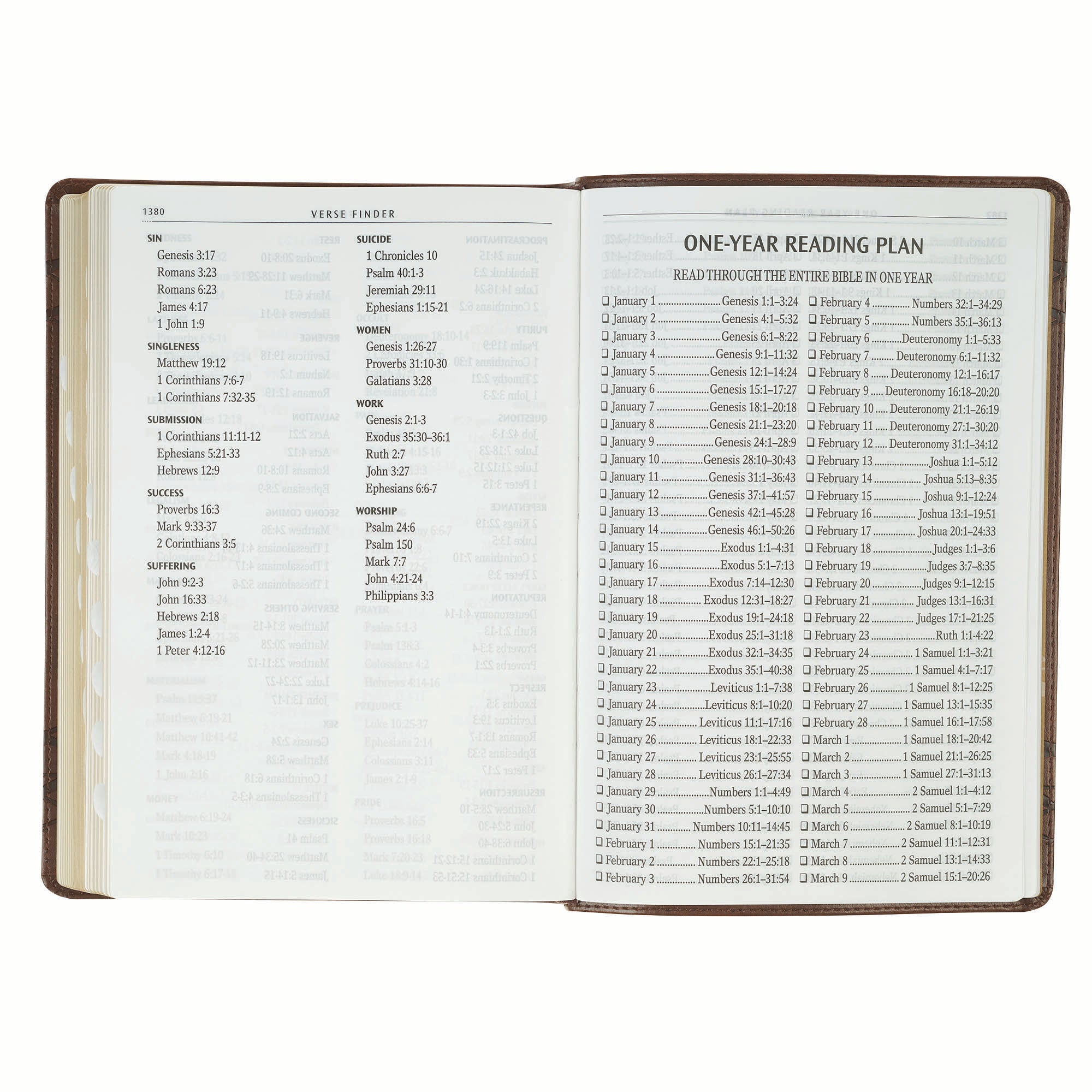 KJV Bible Giant Print Full-size, Crown of Thorns/Amazing Grace, Brown