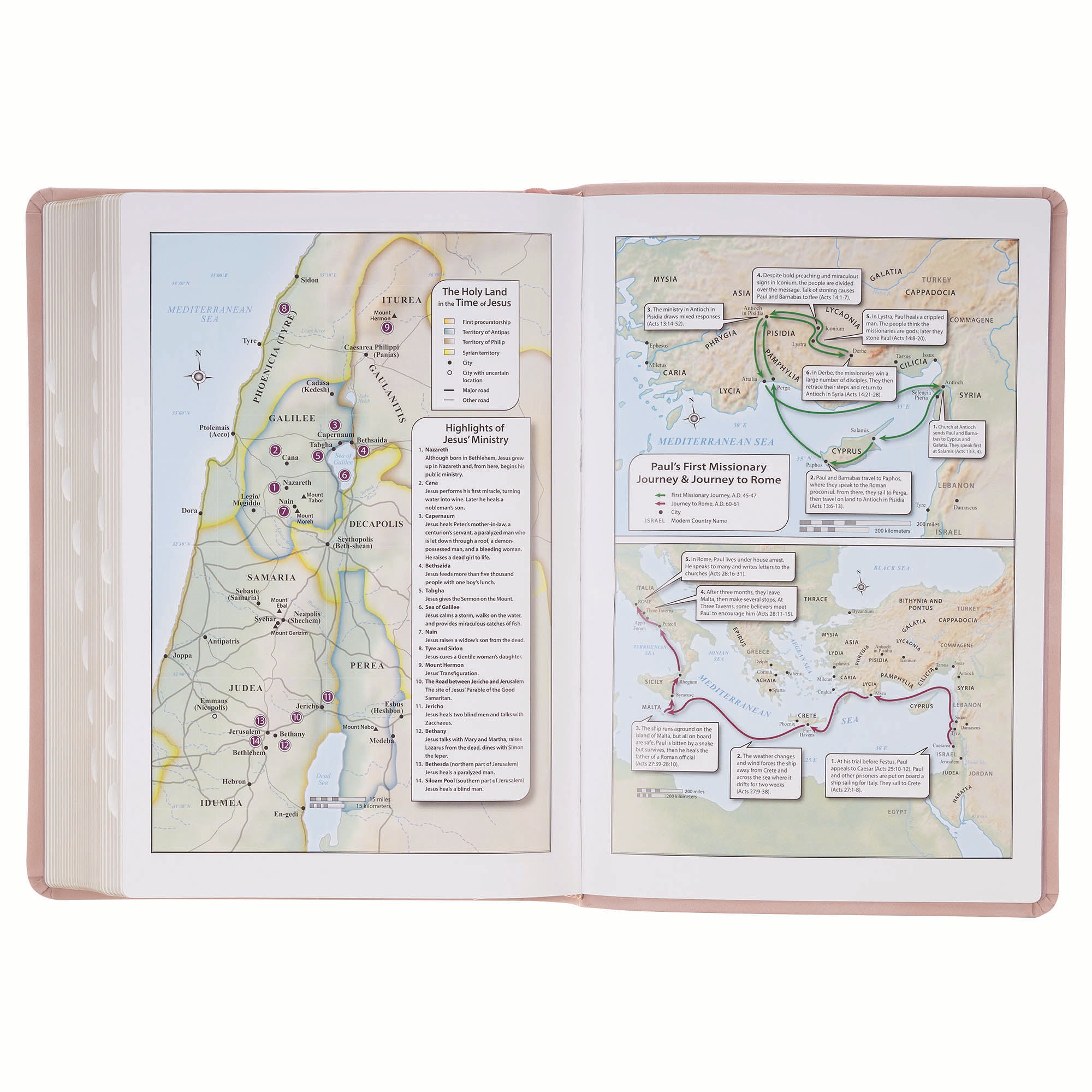 KJV Bible Giant Print Full-size, Dusty Pink