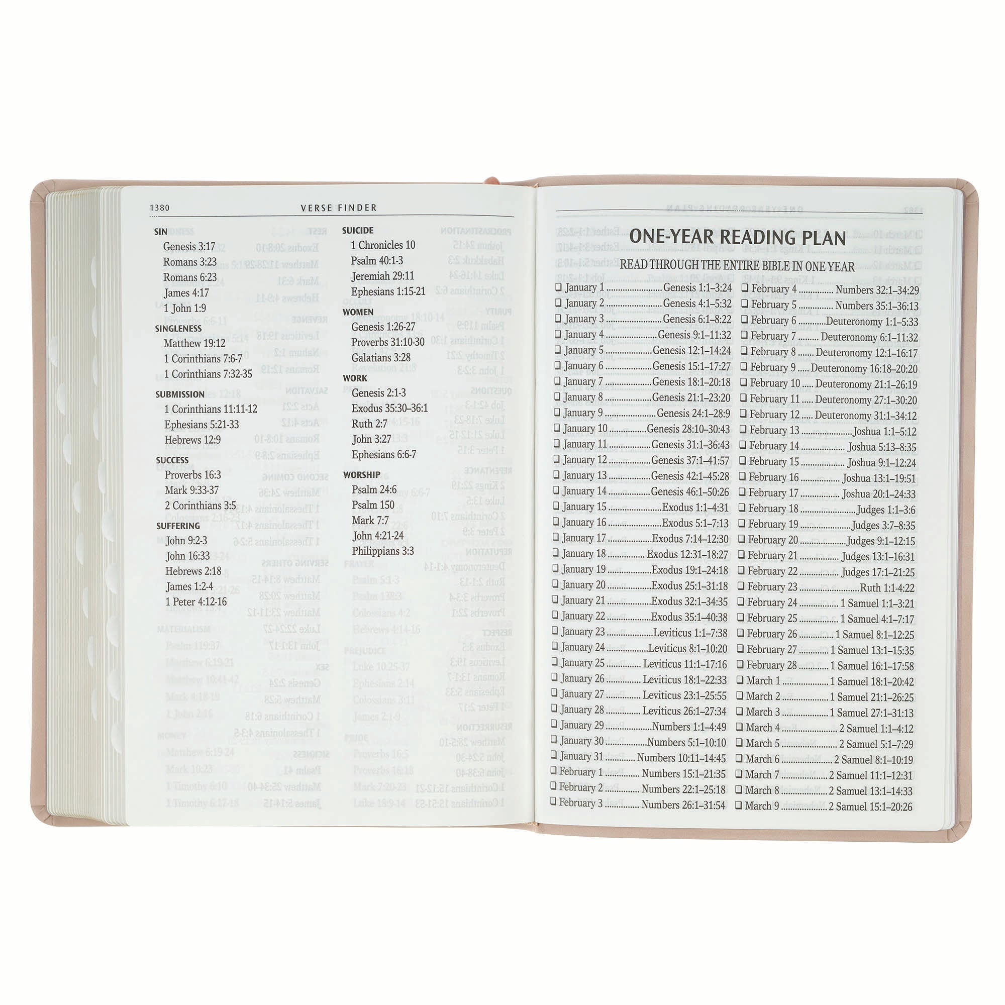 KJV Bible Giant Print Full-size, Dusty Pink