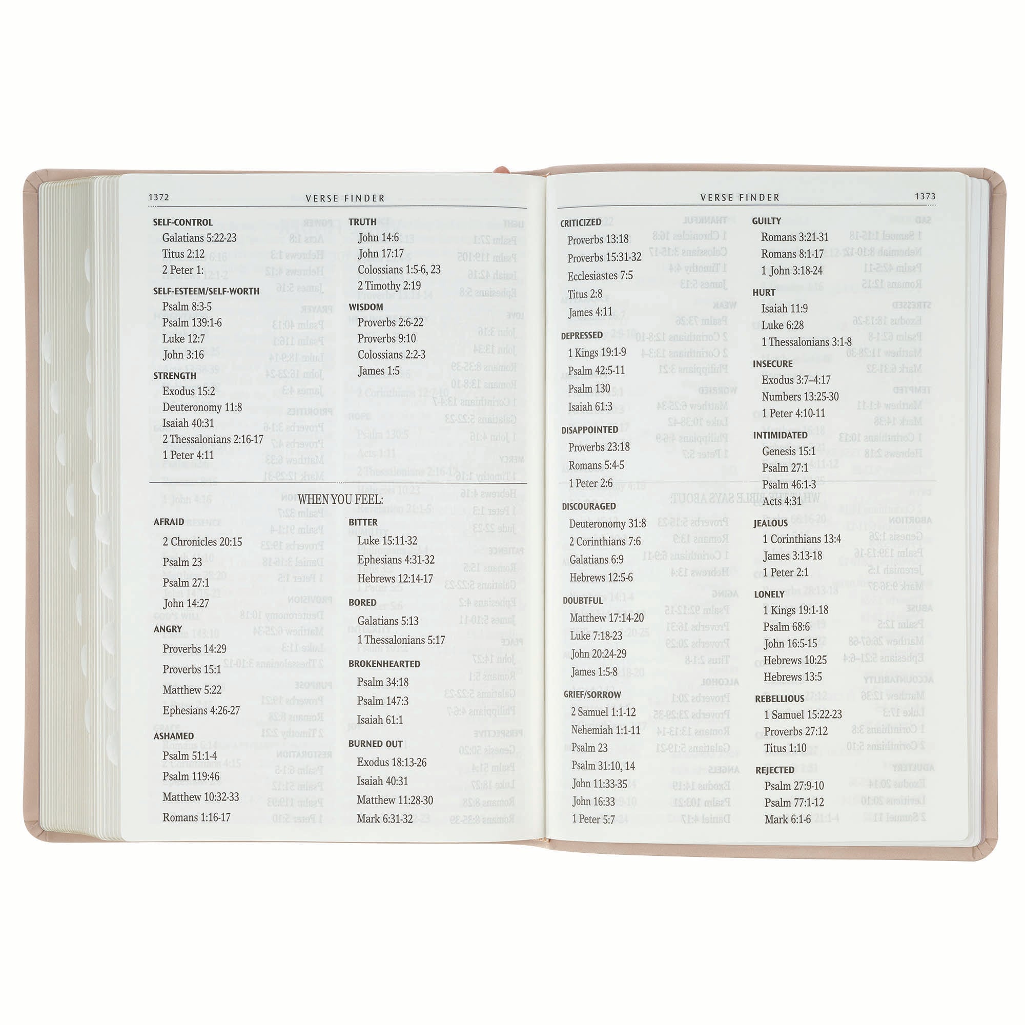KJV Bible Giant Print Full-size, Dusty Pink
