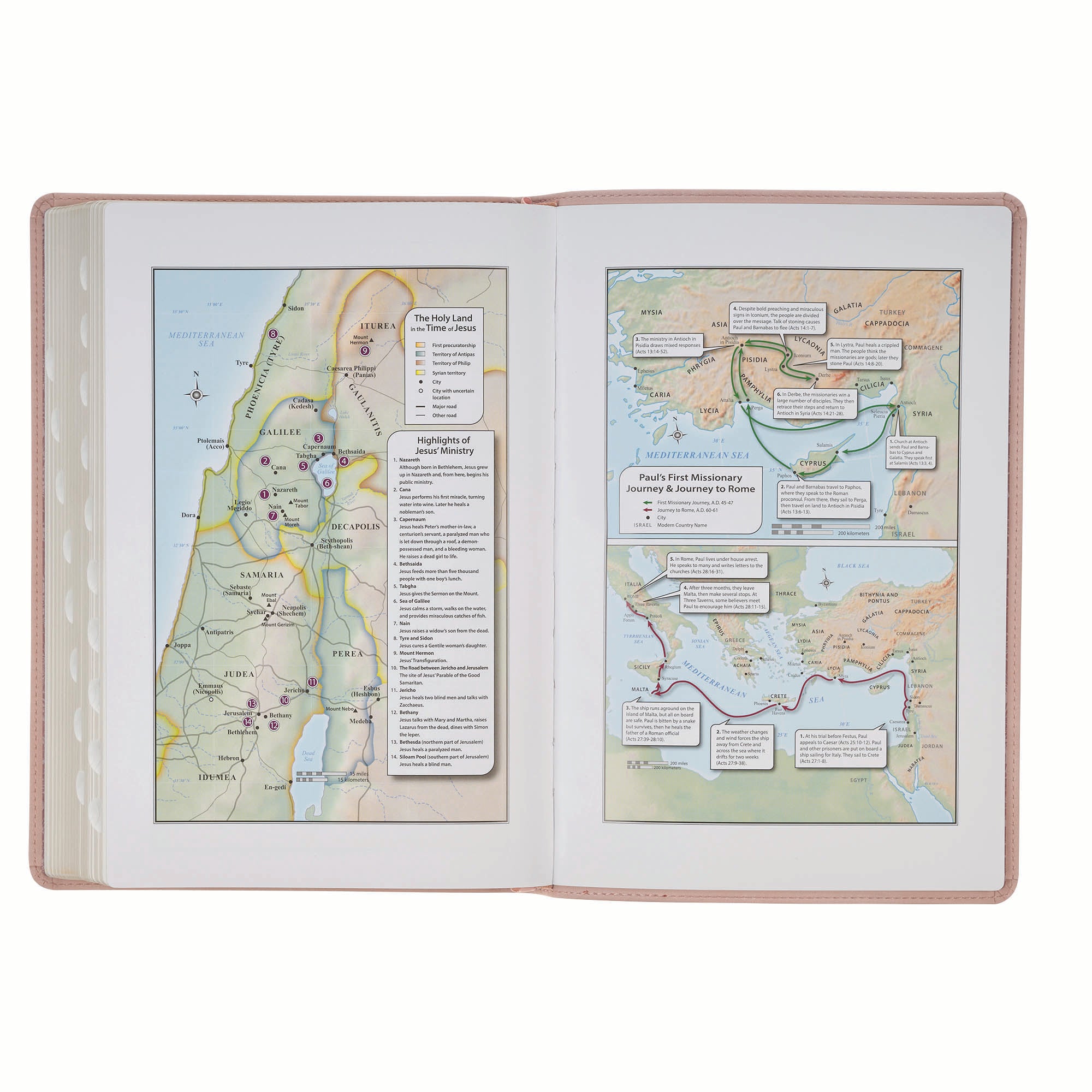 KJV Bible Thinline Large Print Trust, Pink