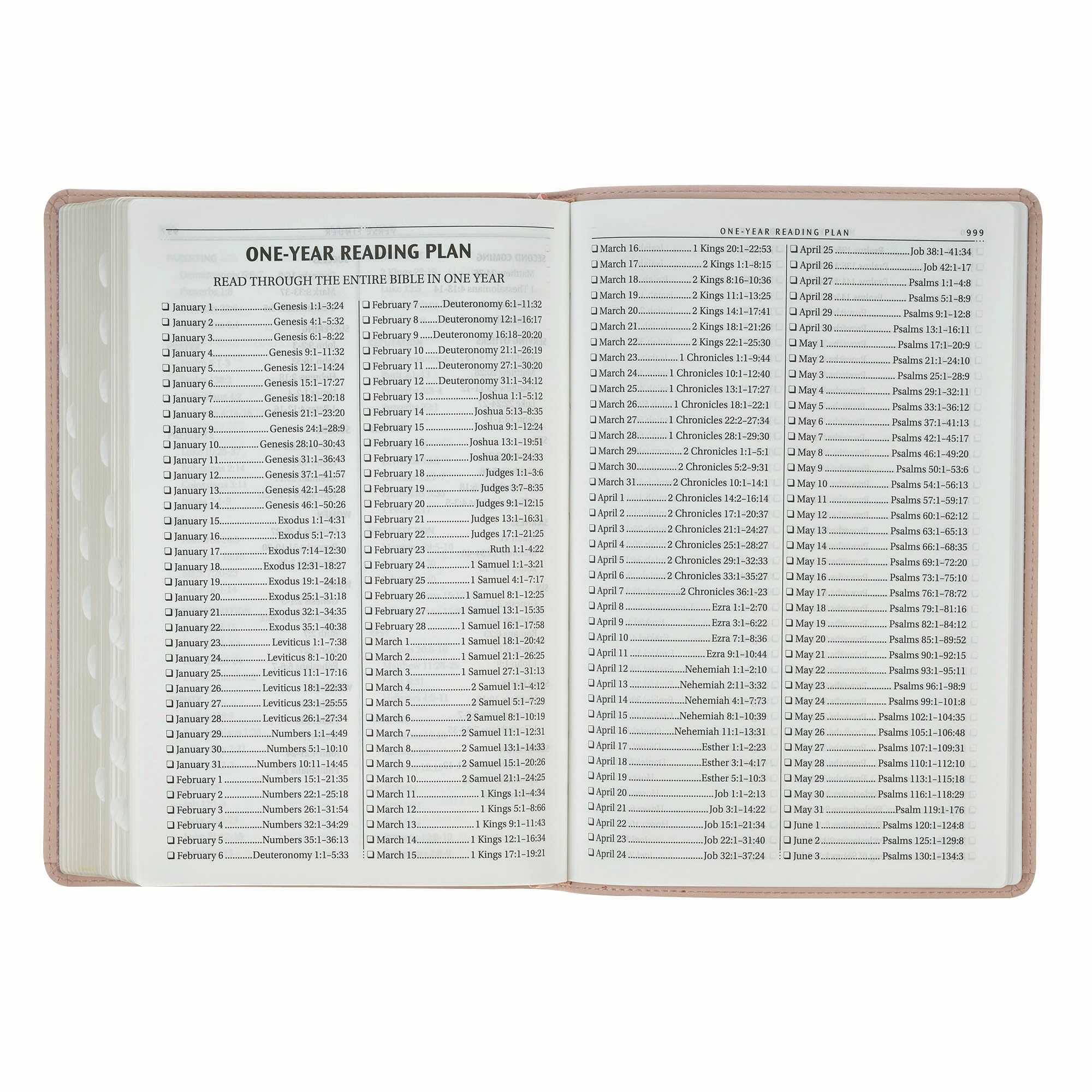 KJV Bible Thinline Large Print Trust, Pink