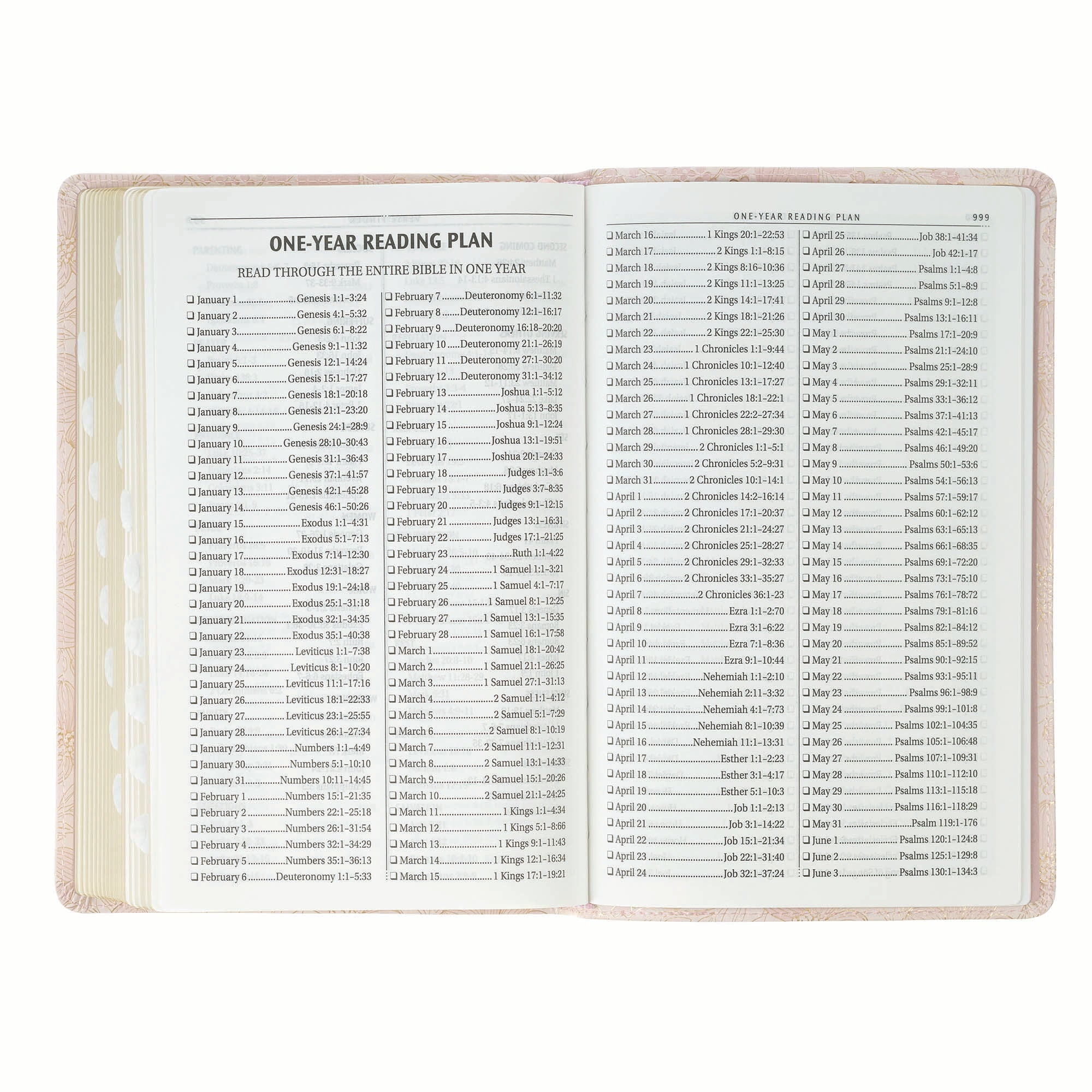 KJV Bible Deluxe Gift Edition, Pink