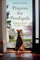 Prayers For Prodigals: 90 Days of Prayer For Your Child
