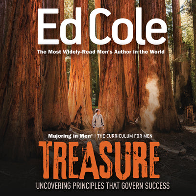 Treasure (Workbook): Uncovering Principles That Govern Success