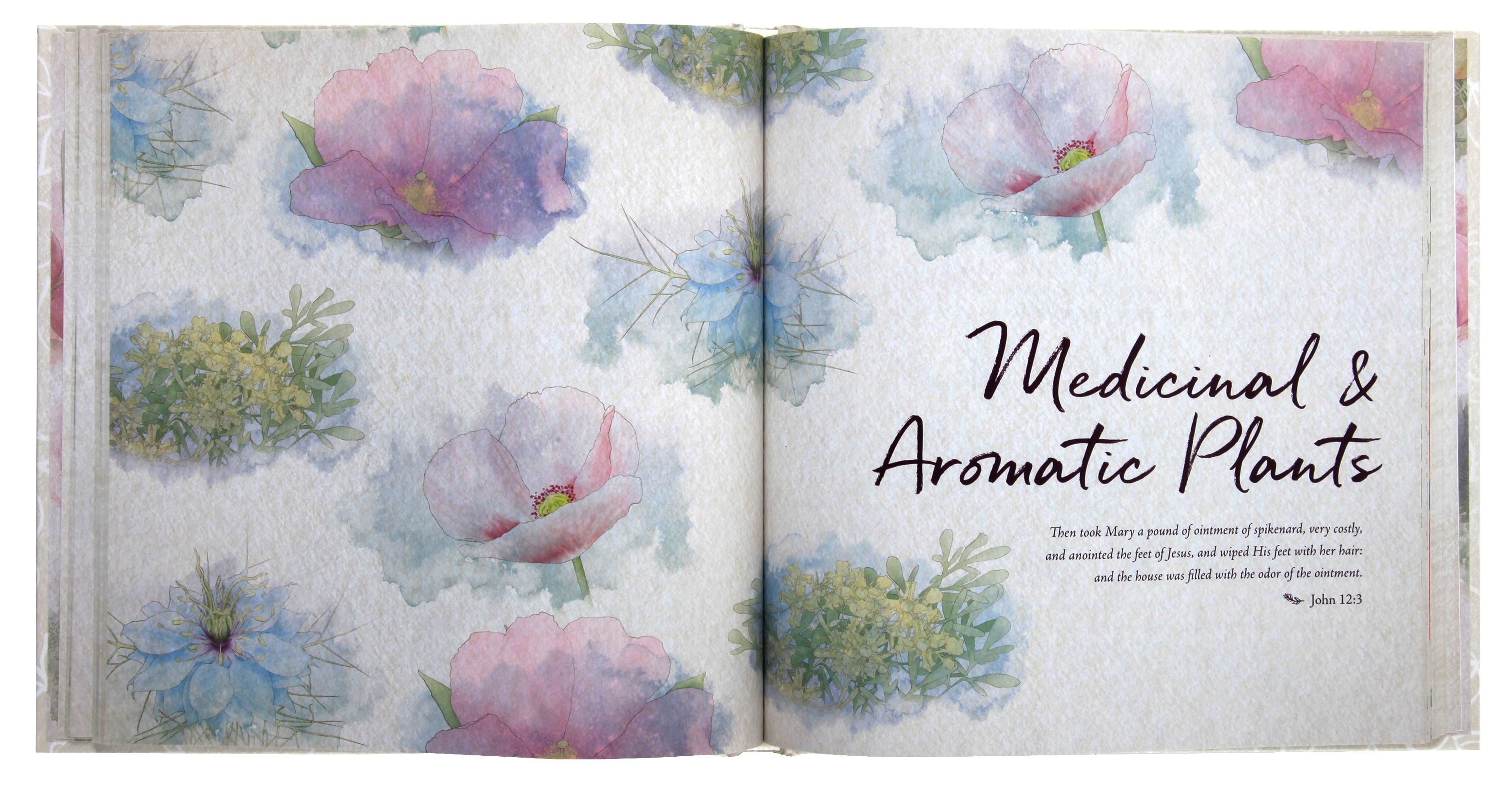 In the Garden: A Collection of Botanical Scripture Verses: An Illustrated Guide to the Plants of the Bible