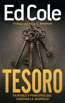 Tesoro: Descubriendo Patrones Y Principios Que Generan Prosperidad (Spanish)