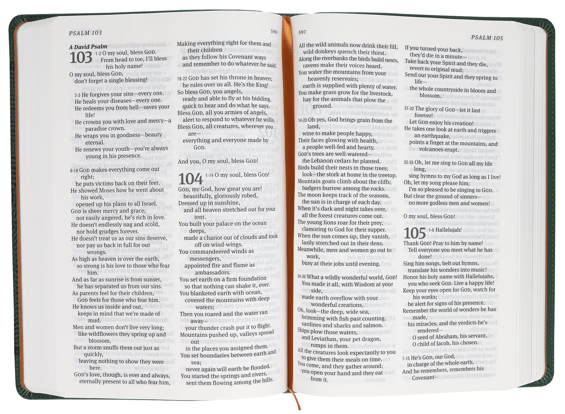 The Message Deluxe Gift Bible Large Print Green