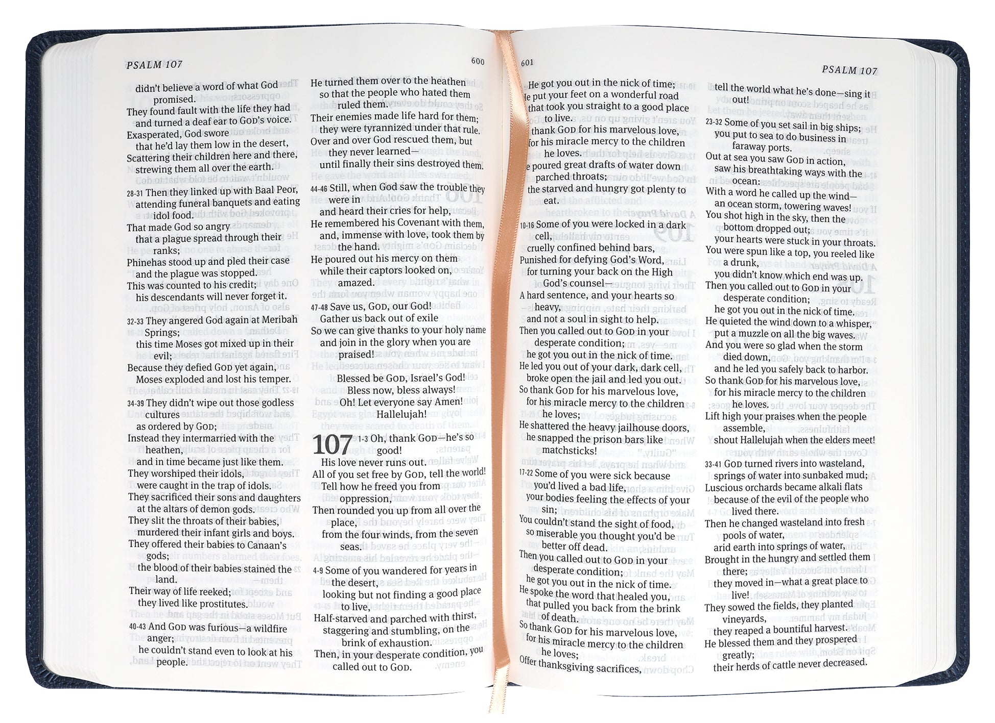 The Message Deluxe Gift Bible Large Print Navy