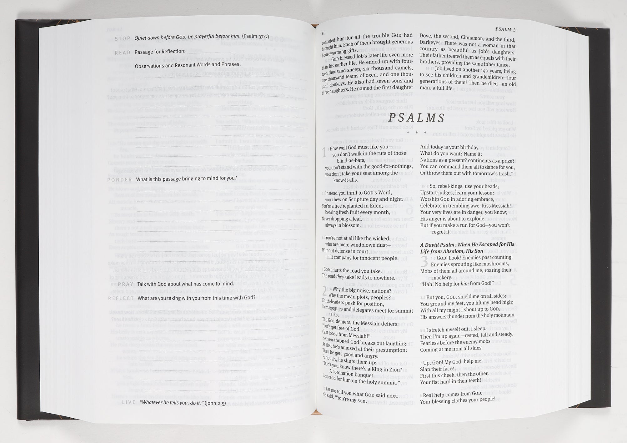 The Message Prayerful Reading Bible