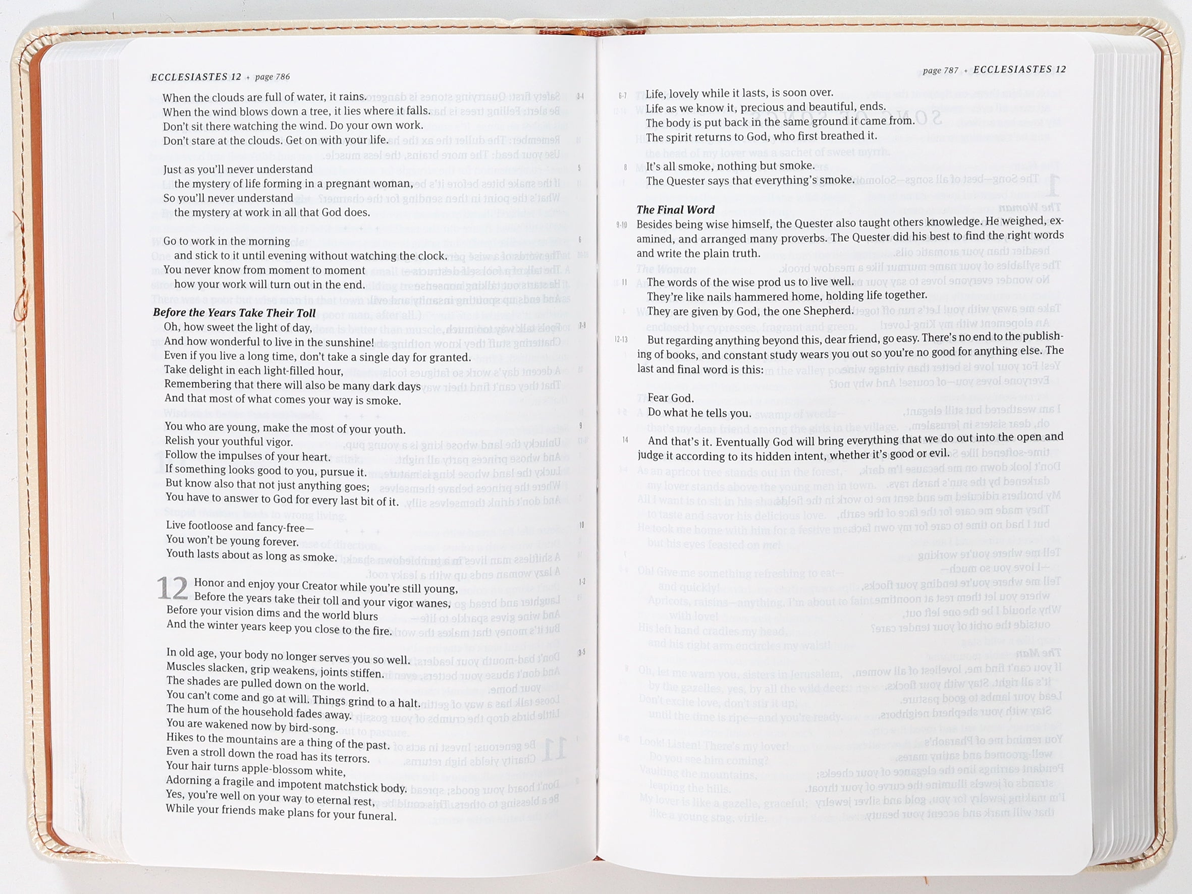 Message Thinline Bible Cream & Clay