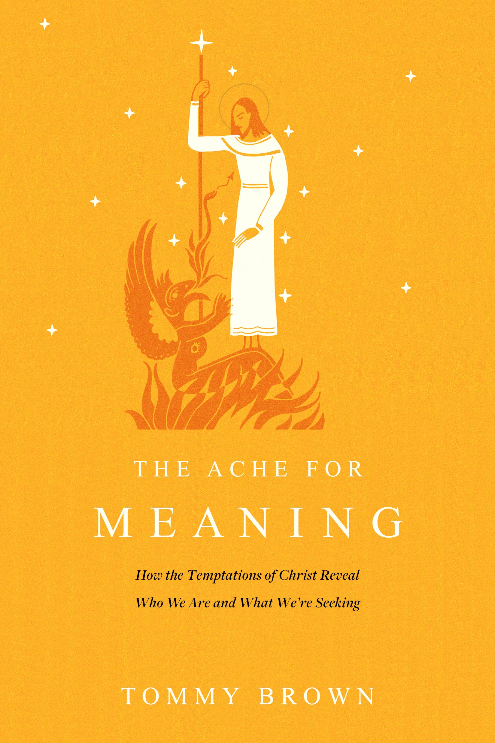 The Ache For Meaning: How the Temptations of Christ Reveal Who We Are and What We're Seeking