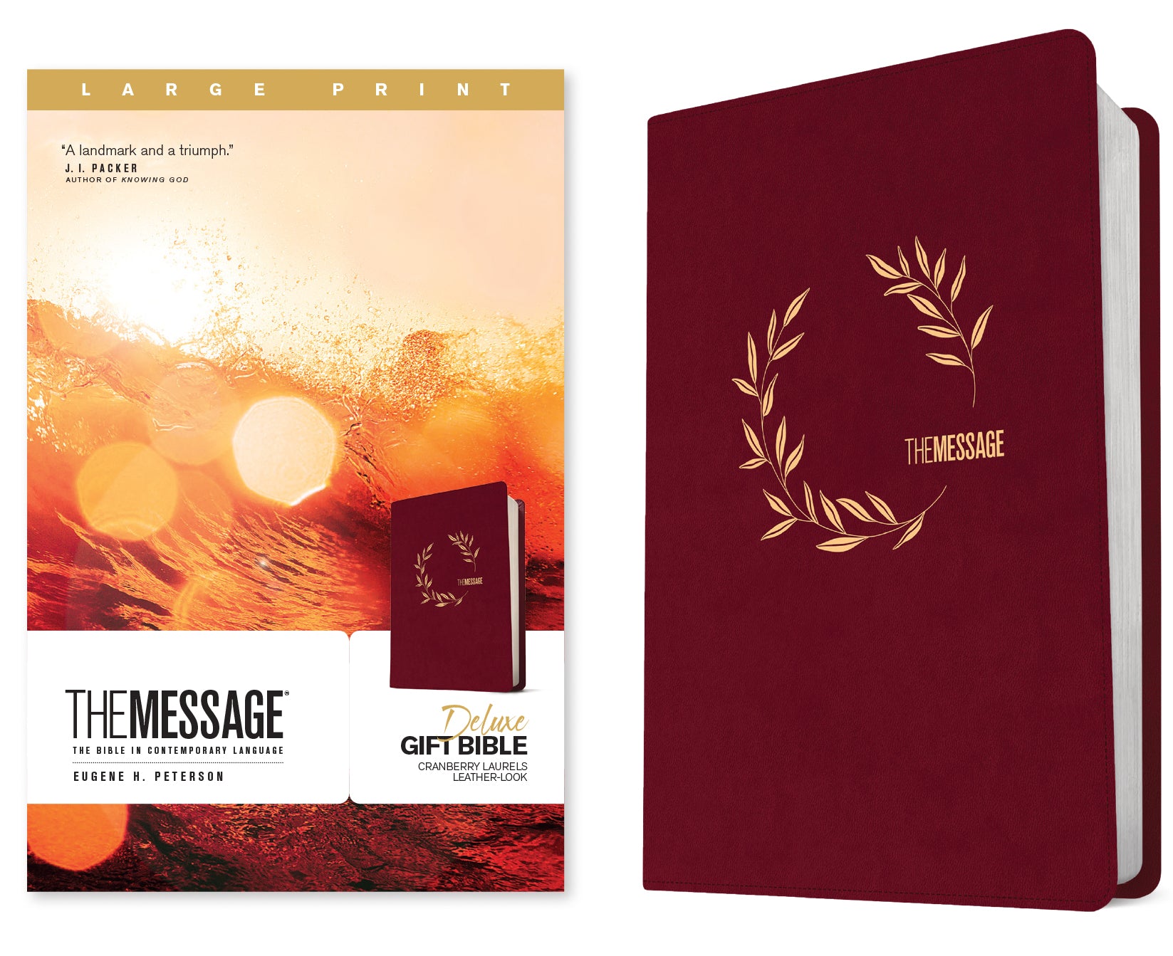 Message Deluxe Gift Bible Large Print Cranberry Laurels