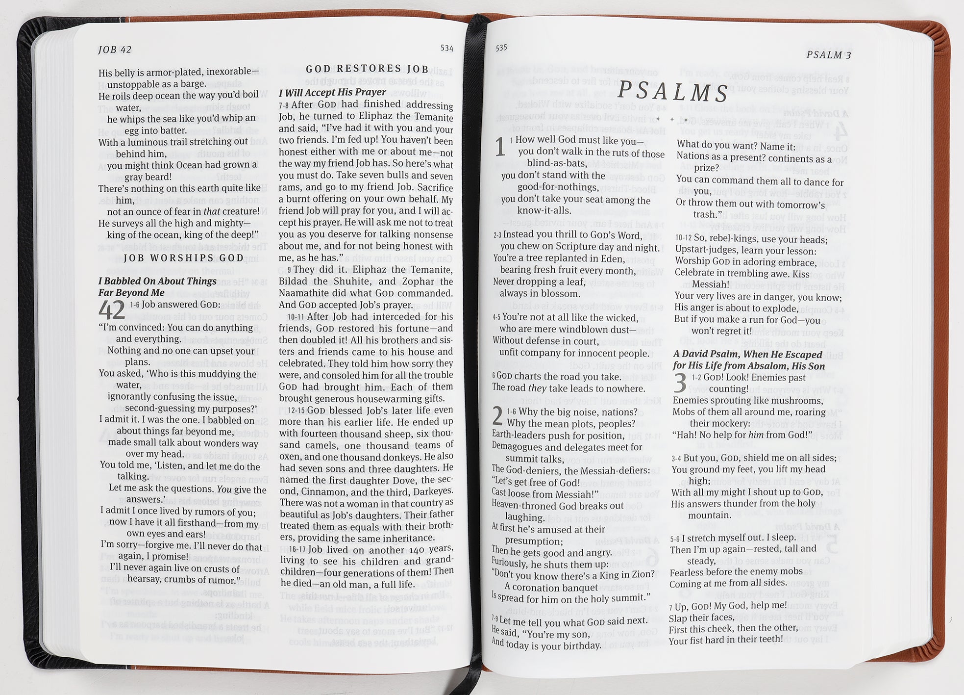 Message Deluxe Gift Bible Large Print Saddle Tan/Black