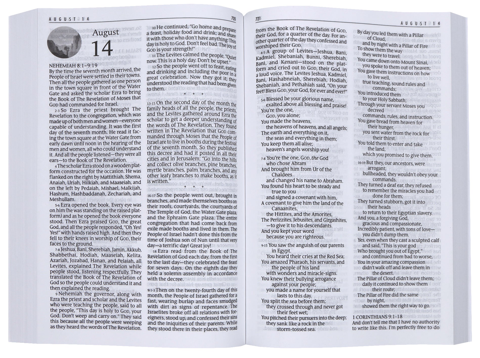 The Message MSG One Year Bible Large Print Thinline Edition