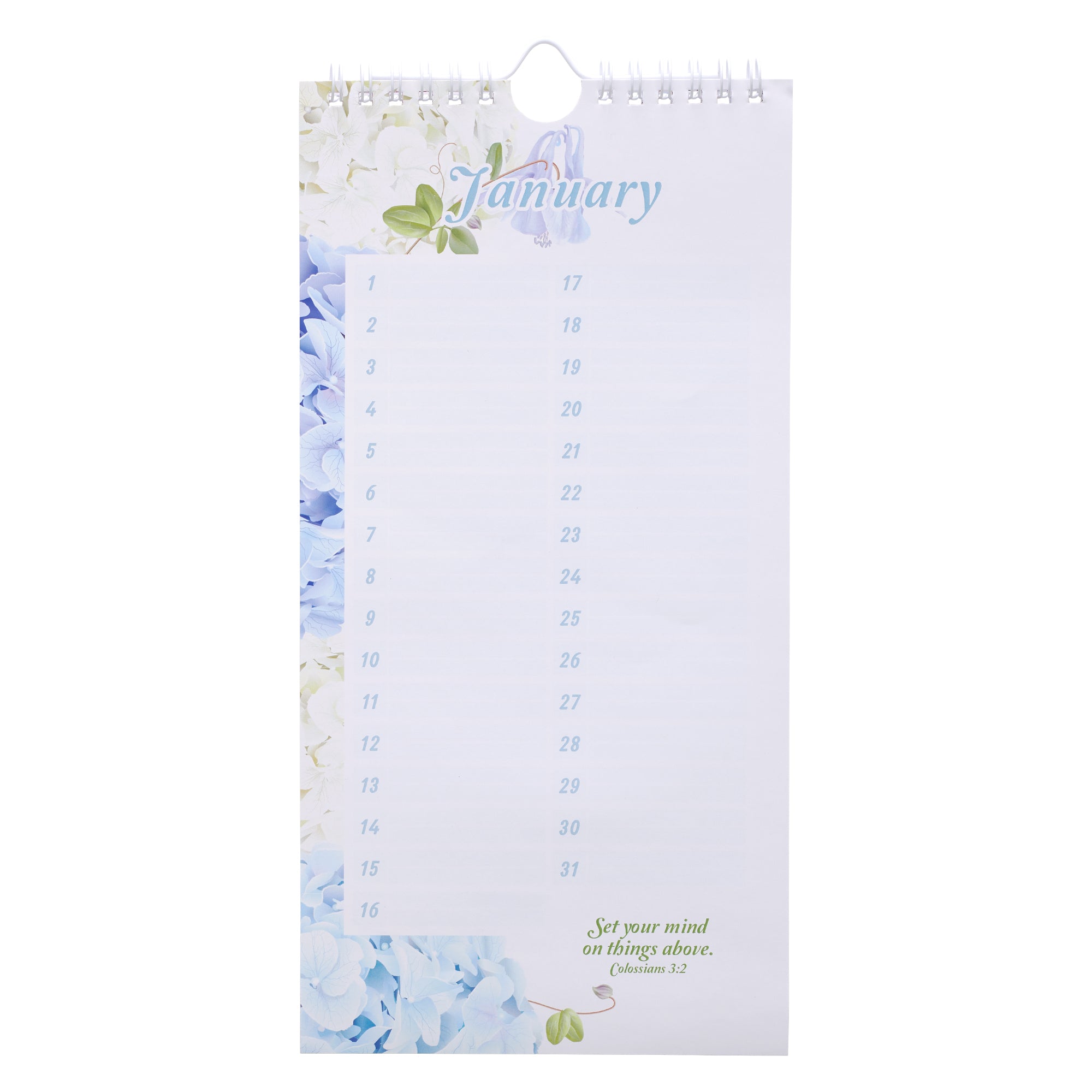 Undated Calendar: Special Days, Floral/Blue