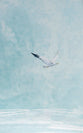 Journal: Be Still & Know Sailboat (Psalm 46:10)