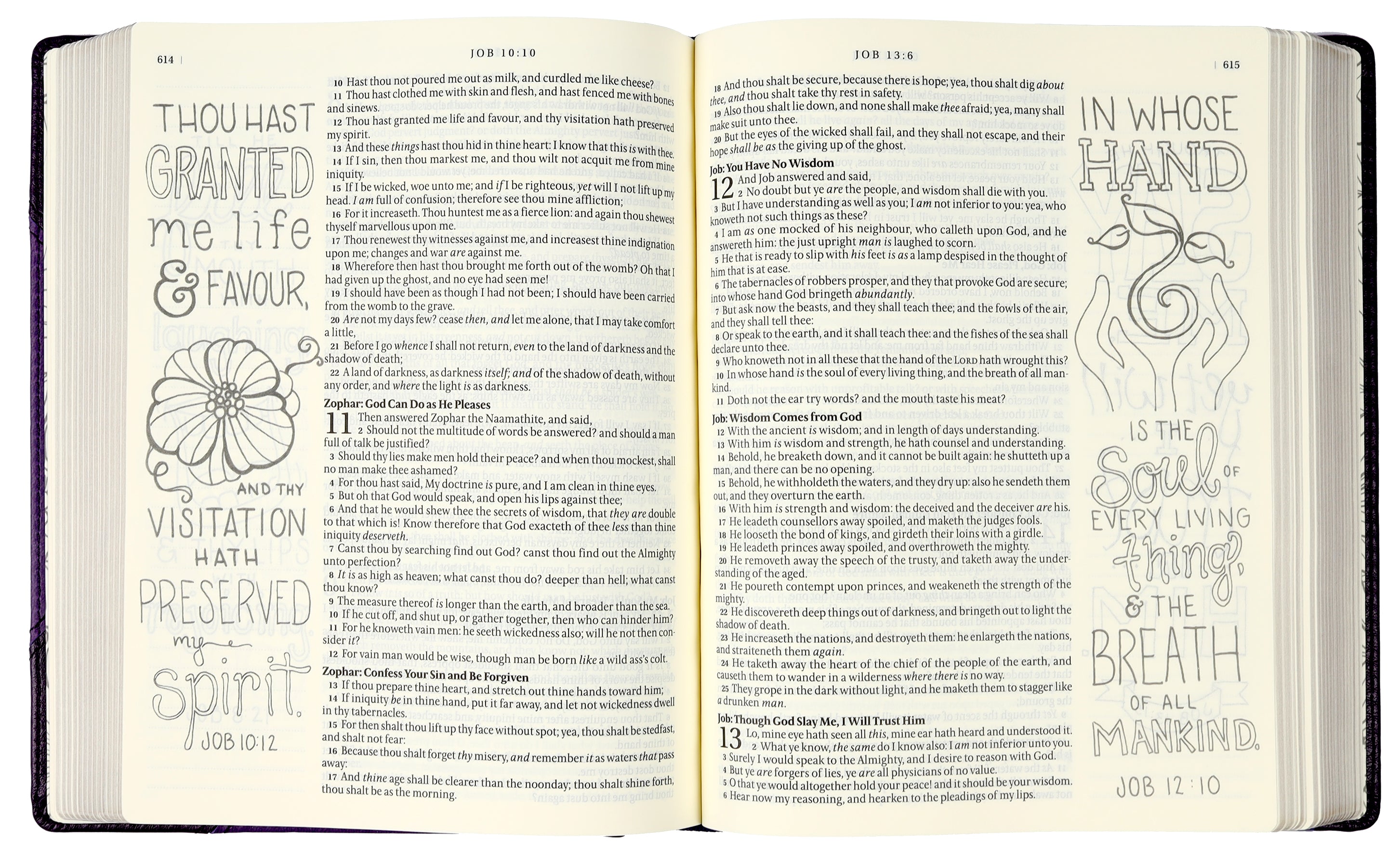 KJV My Creative Bible Purple