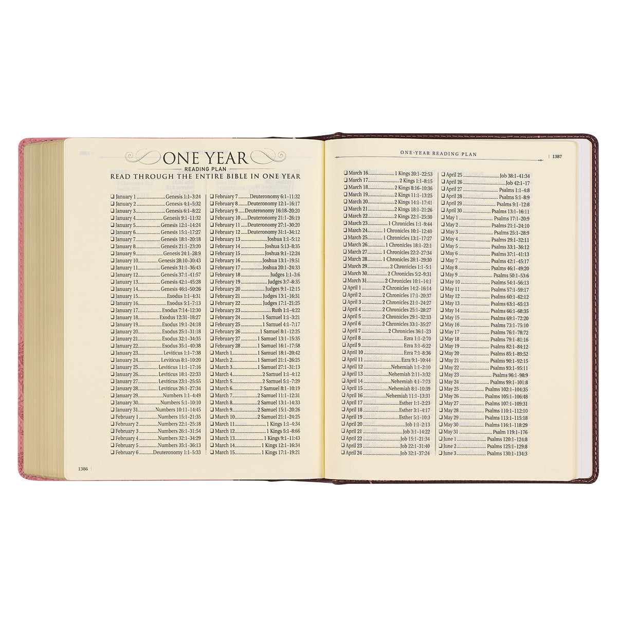 KJV Note-Taking Bible Pink/Brown Floral (Black Letter Edition)