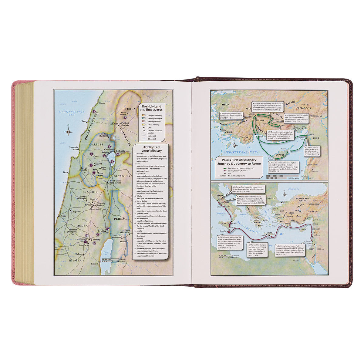 KJV Note-Taking Bible Pink/Brown Floral (Black Letter Edition)