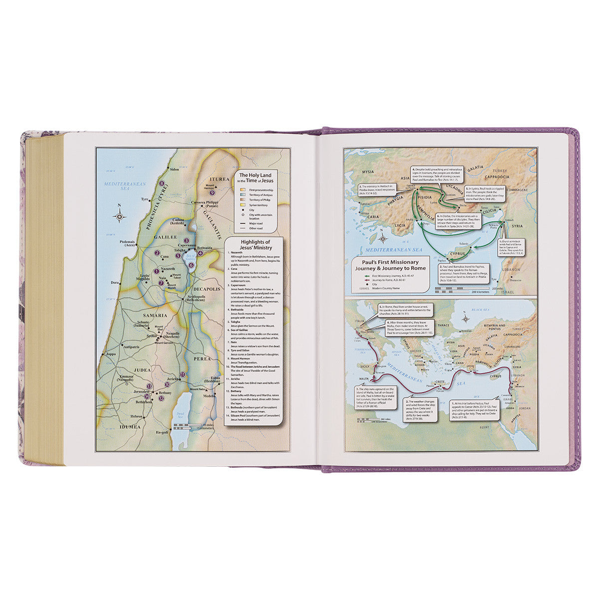 KJV Note-Taking Bible Purple Floral (Black Letter Edition)