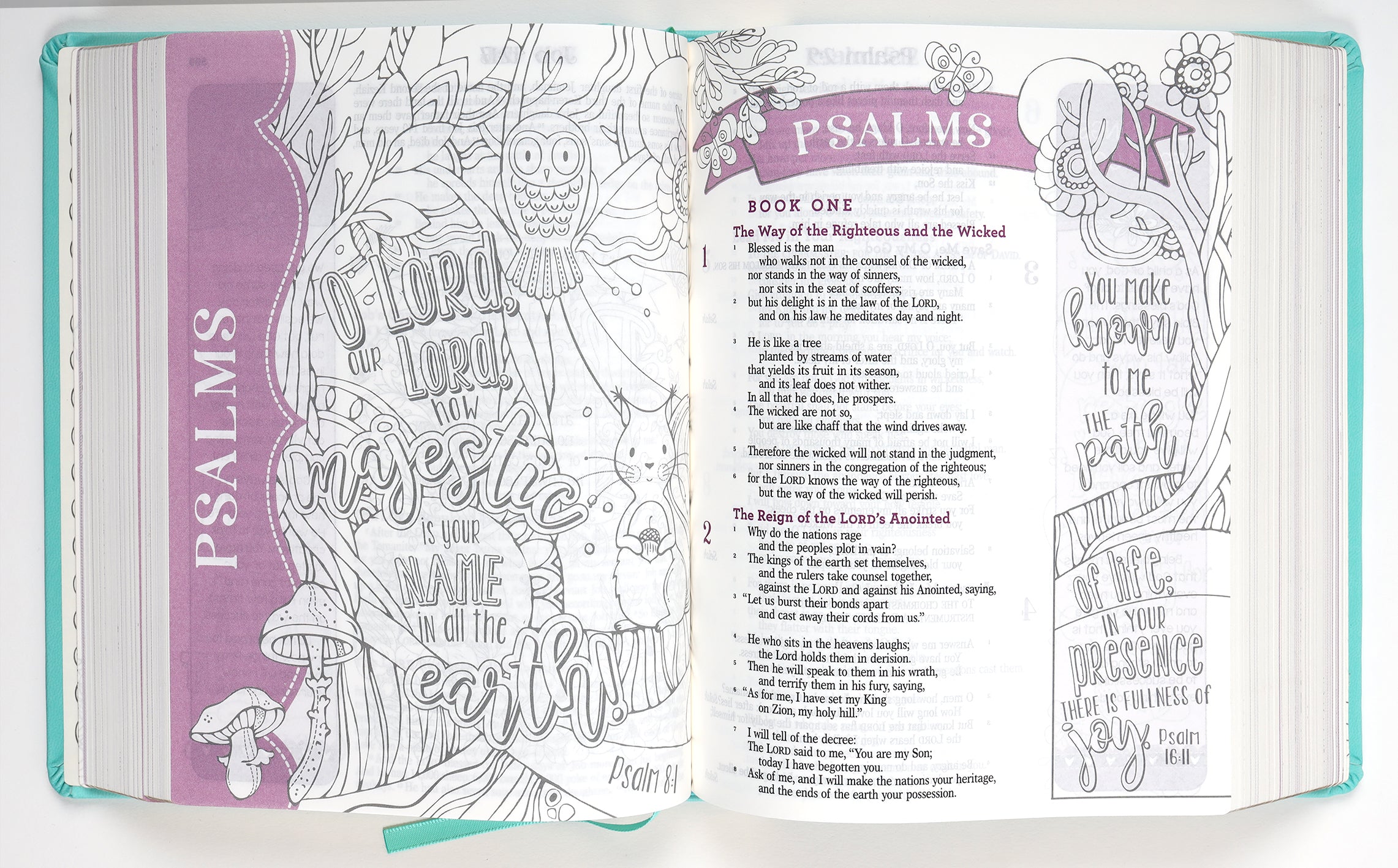 ESV My Creative Bible For Girls Teal Butterfly