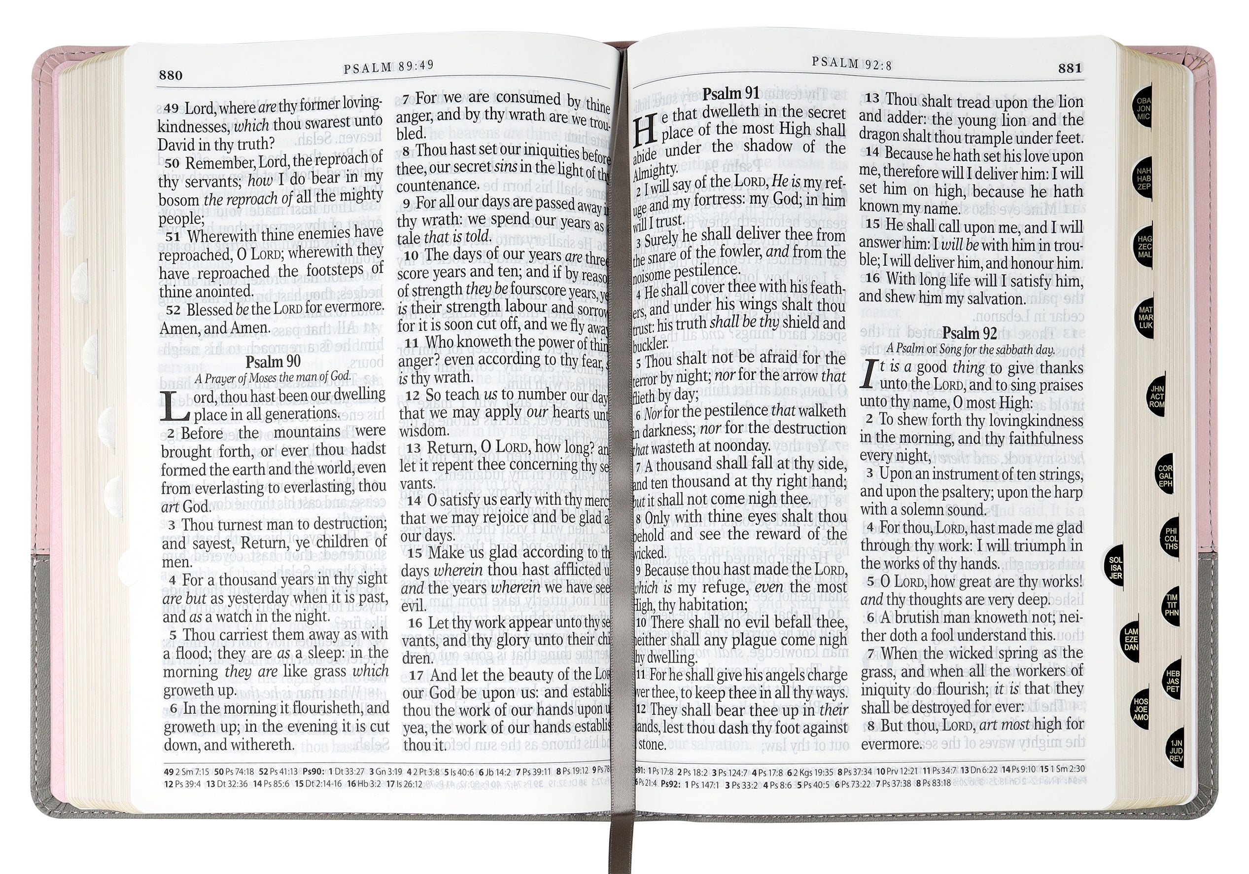 KJV Super Giant Print Bible Pink/Gray Thumb Index (Red Letter Edition) (Red Letter Edition)