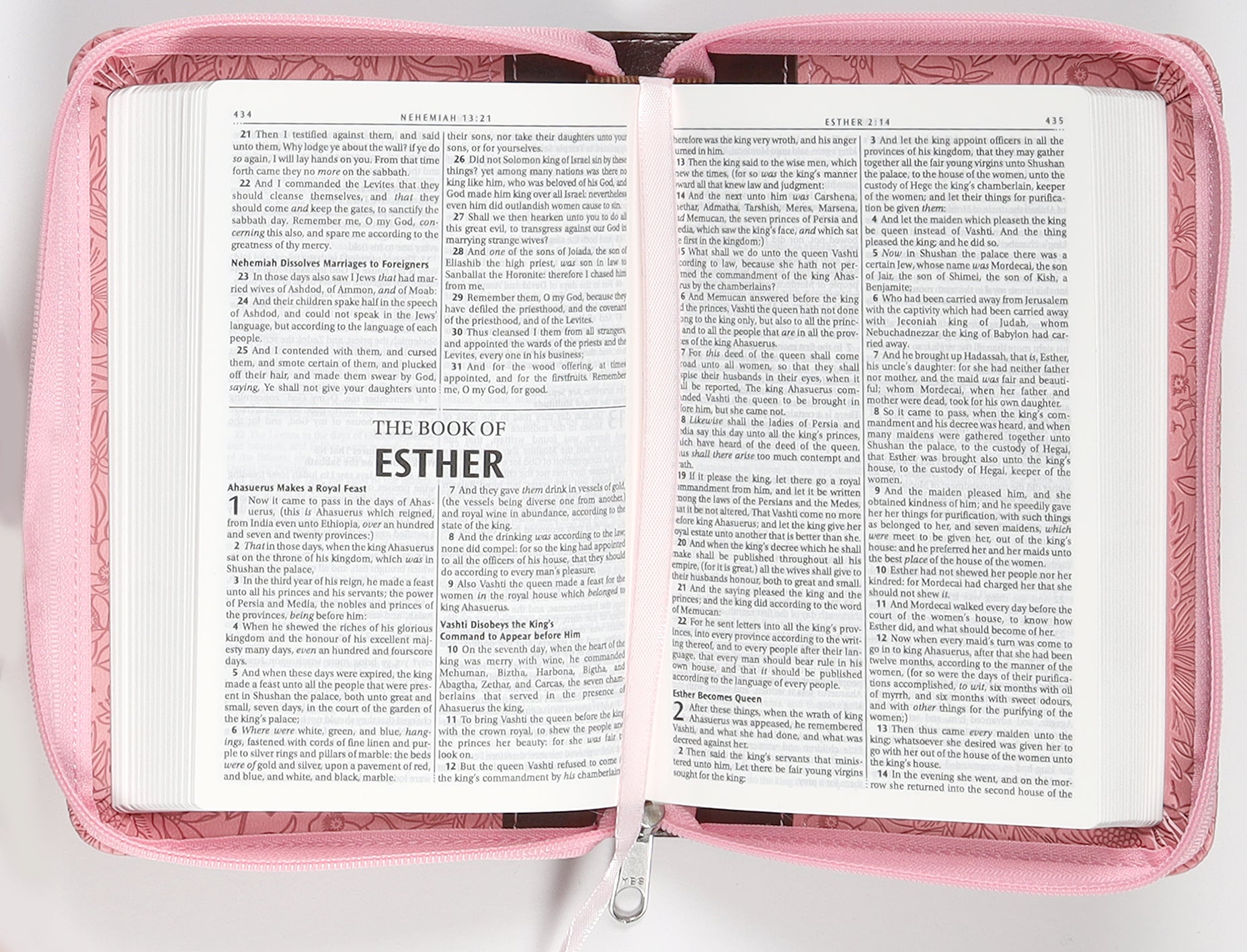 KJV Pocket Bible Pink/Brown With Zipper (Red Letter Edition)