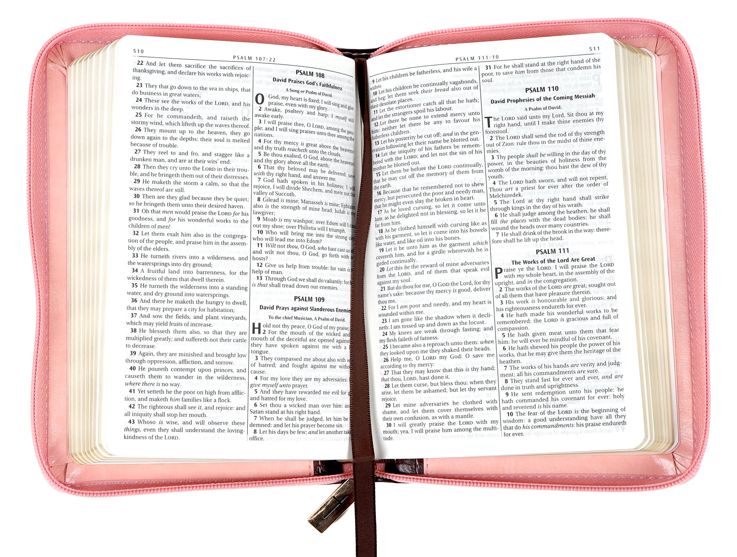 KJV Compact Bible Pink/Burgundy With Zipper (Red Letter Edition)