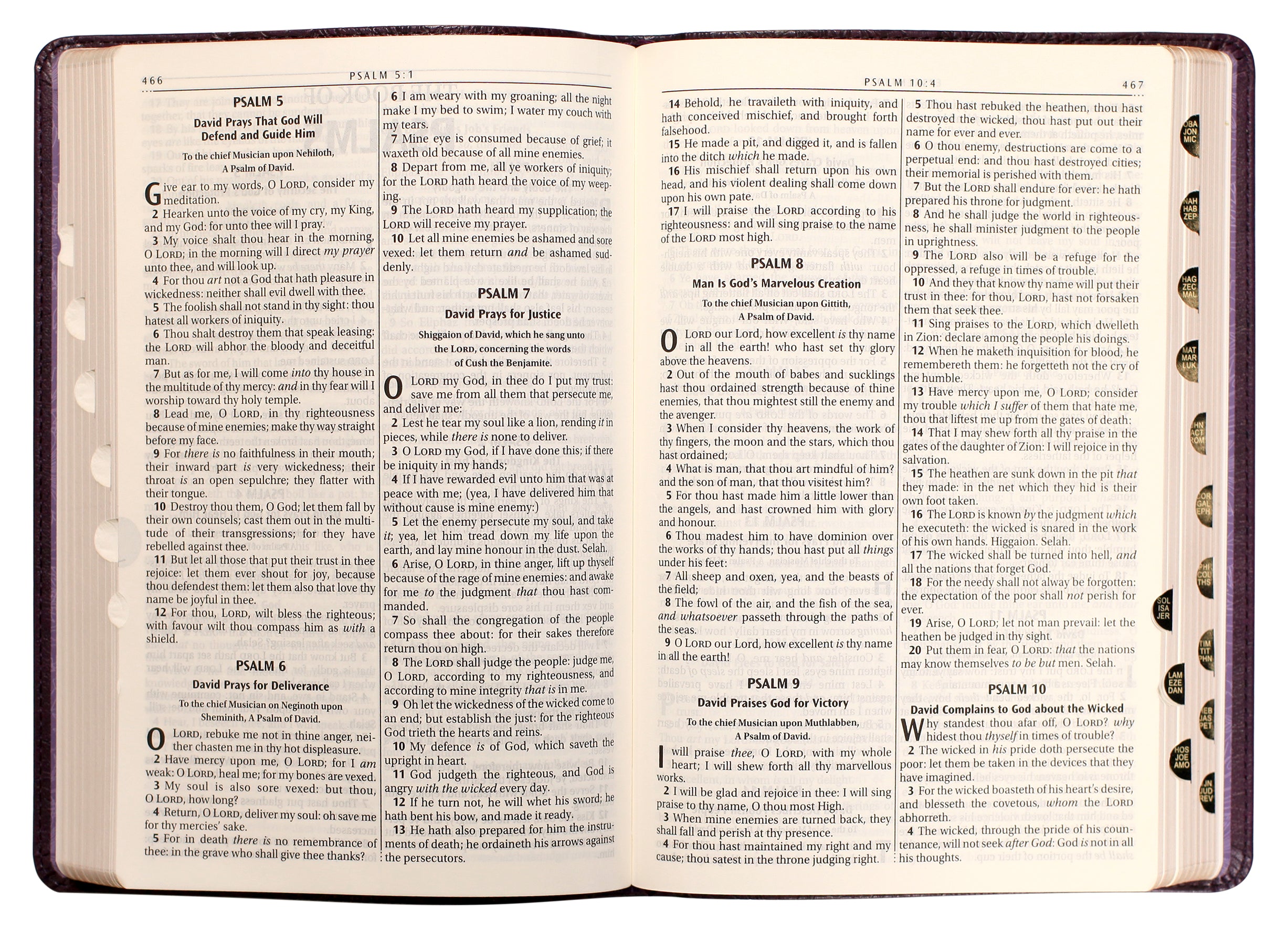 KJV Large Print Thinline Bible Purple Floral Thumb Index (Red Letter Edition)