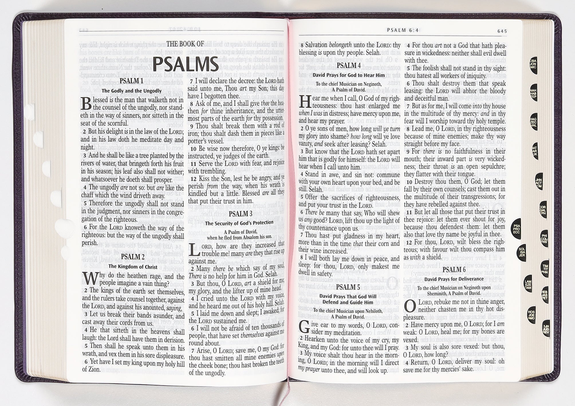 KJV Giant Print Full-Size Bible Purple Floral Thumb Index (Red Letter Edition)