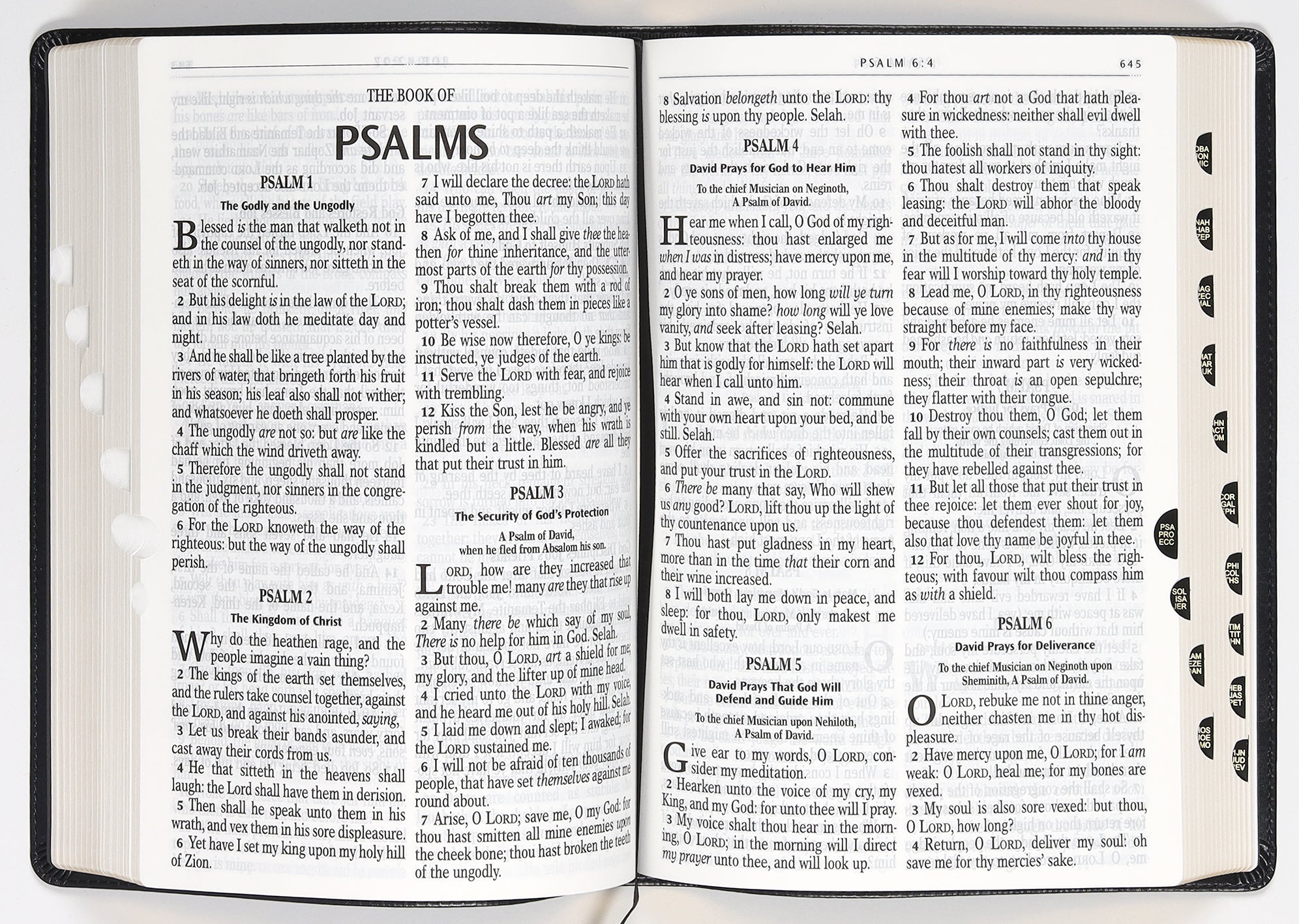 KJV Giant Print Full-Size Bible Dark Brown Thumb Index (Red Letter Edition)