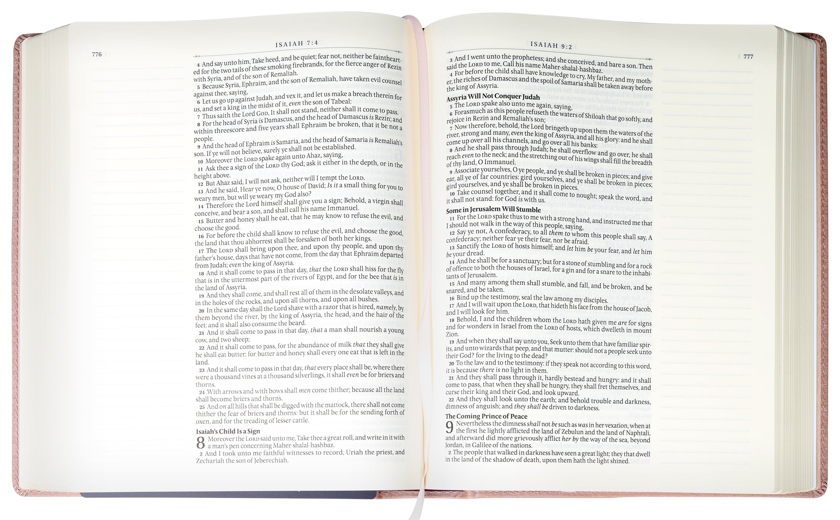 KJV Large Print Note-Taking Bible Mauve (Black Letter Edition)