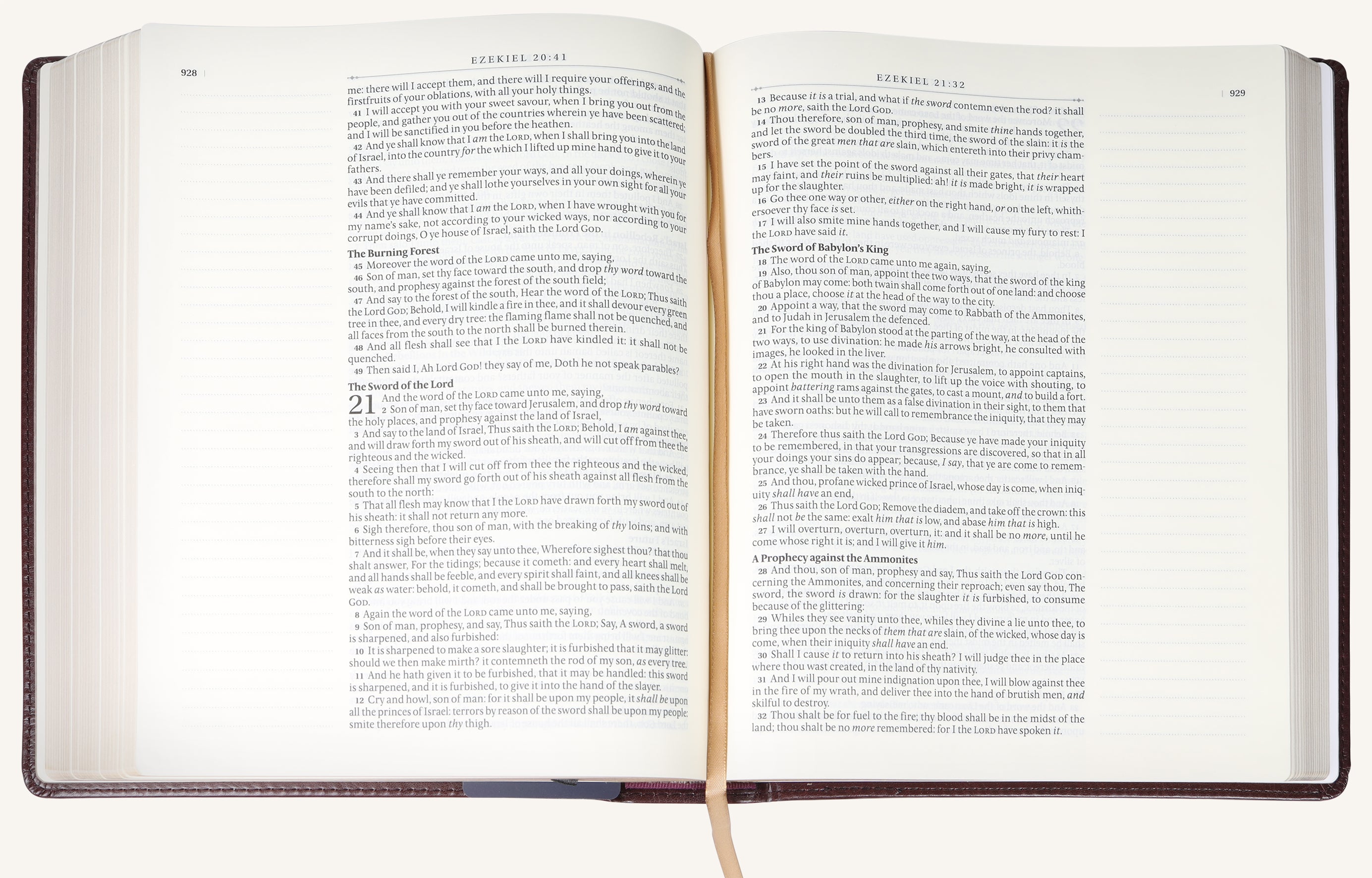 KJV Large Print Note-Taking Bible Burgundy (Black Letter Edition)