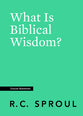 What is Biblical Wisdom? (Crucial Questions Series)