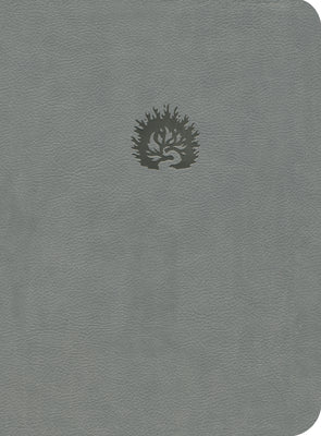 LBLA Biblia De Estudio De La Reforma Light Gray