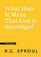 What Does It Mean That God is Sovereign? (Crucial Questions Series)
