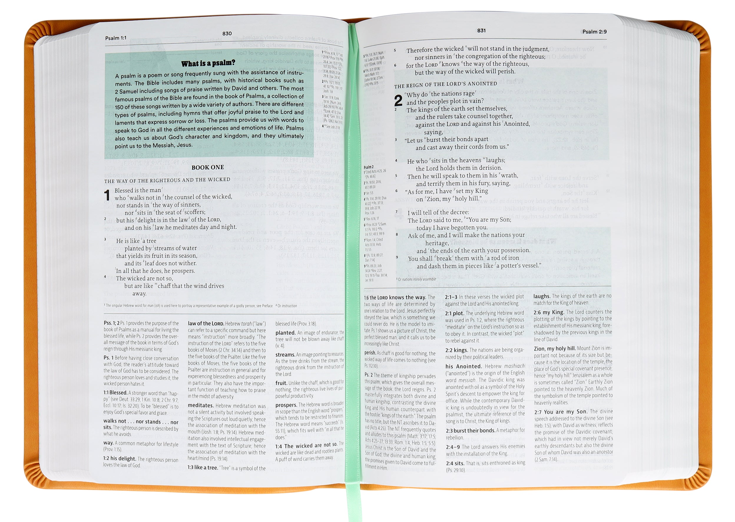 ESV Reformation Study Bible Student Edition Marigold