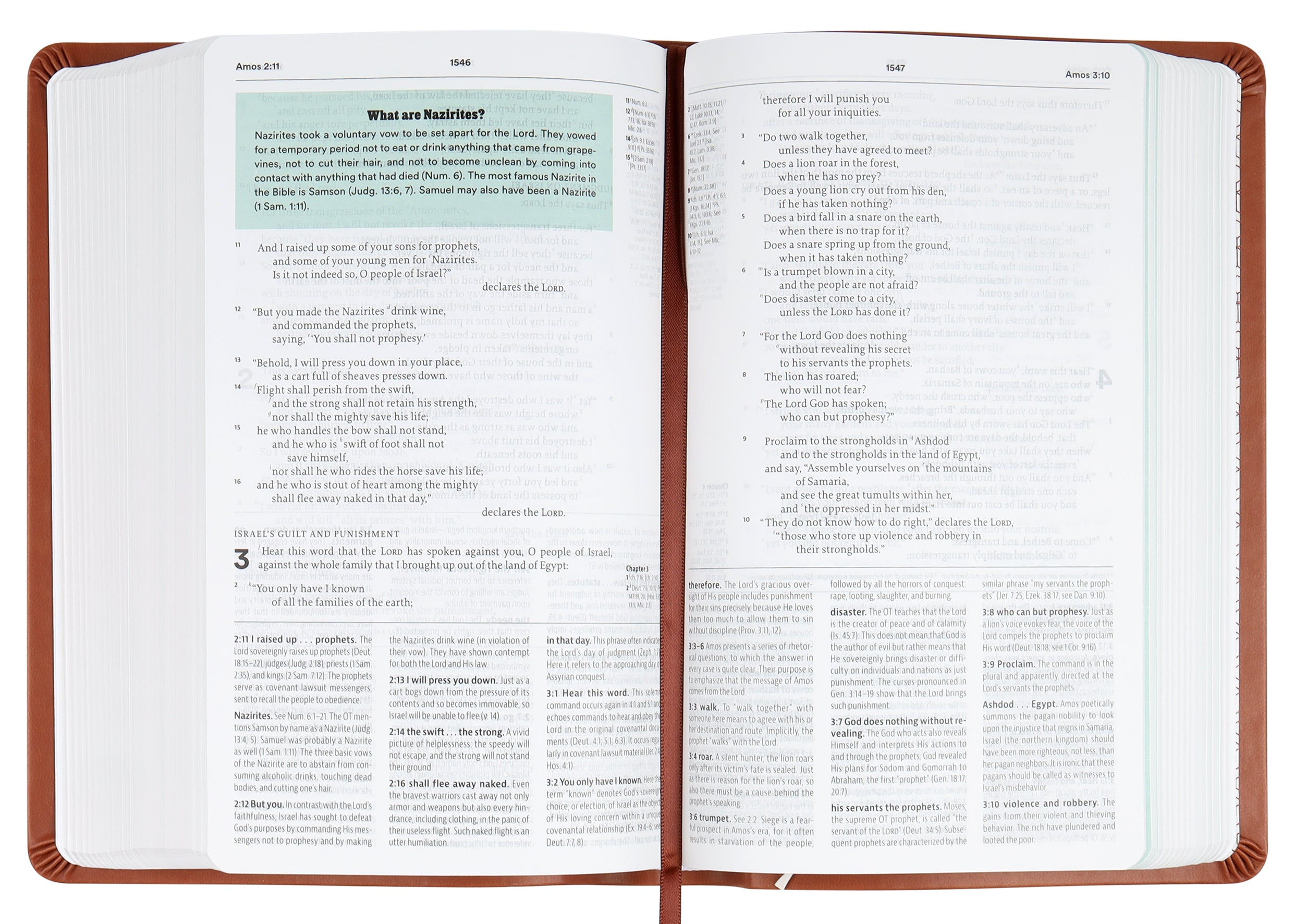 ESV Reformation Study Bible Student Edition Brown