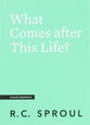What Comes After This Life? (Crucial Questions Series)