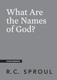 What Are the Names of God? (Crucial Questions Series)