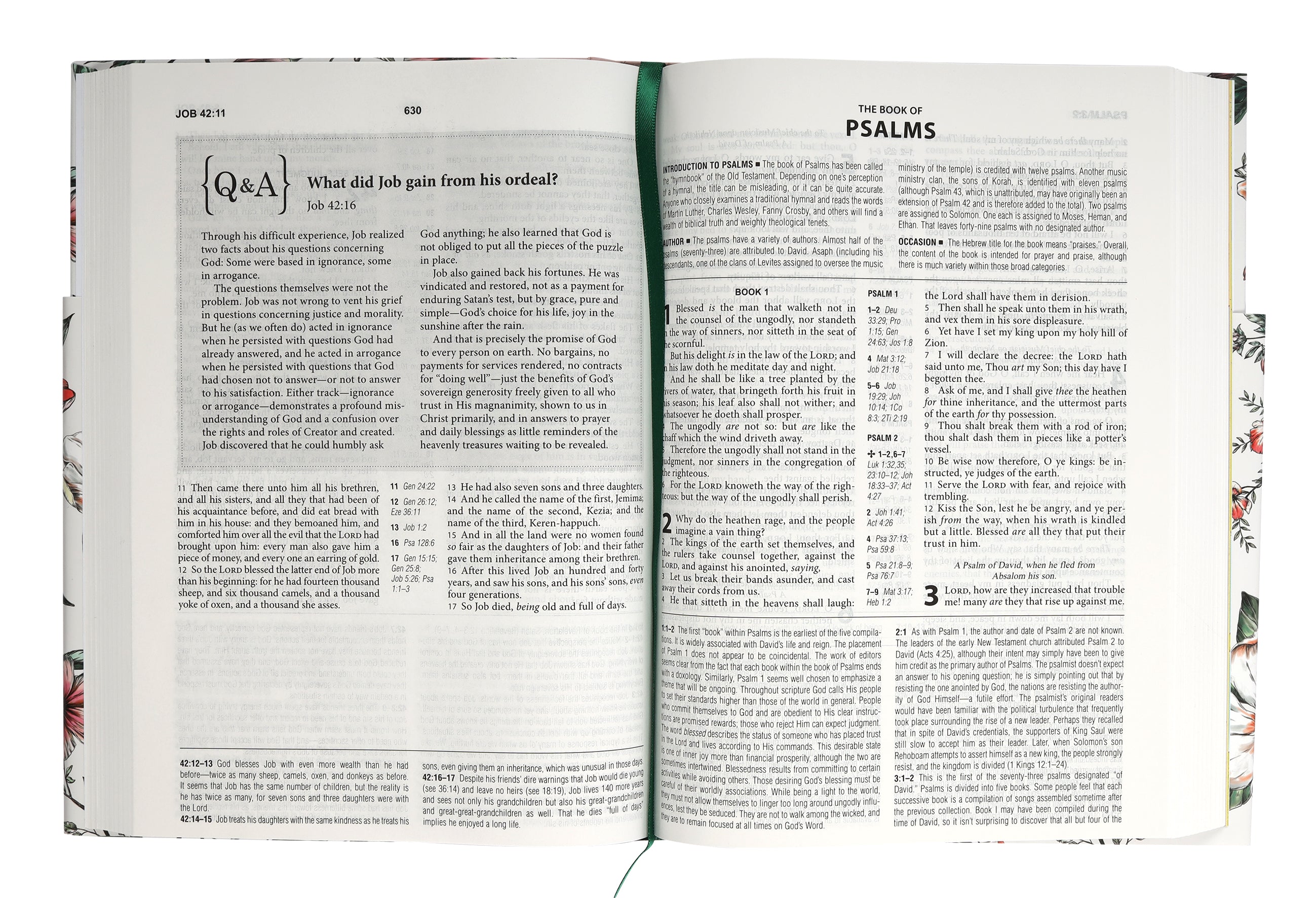 KJV Cross Reference Study Bible Magnolia Blossom (Red Letter Edition)