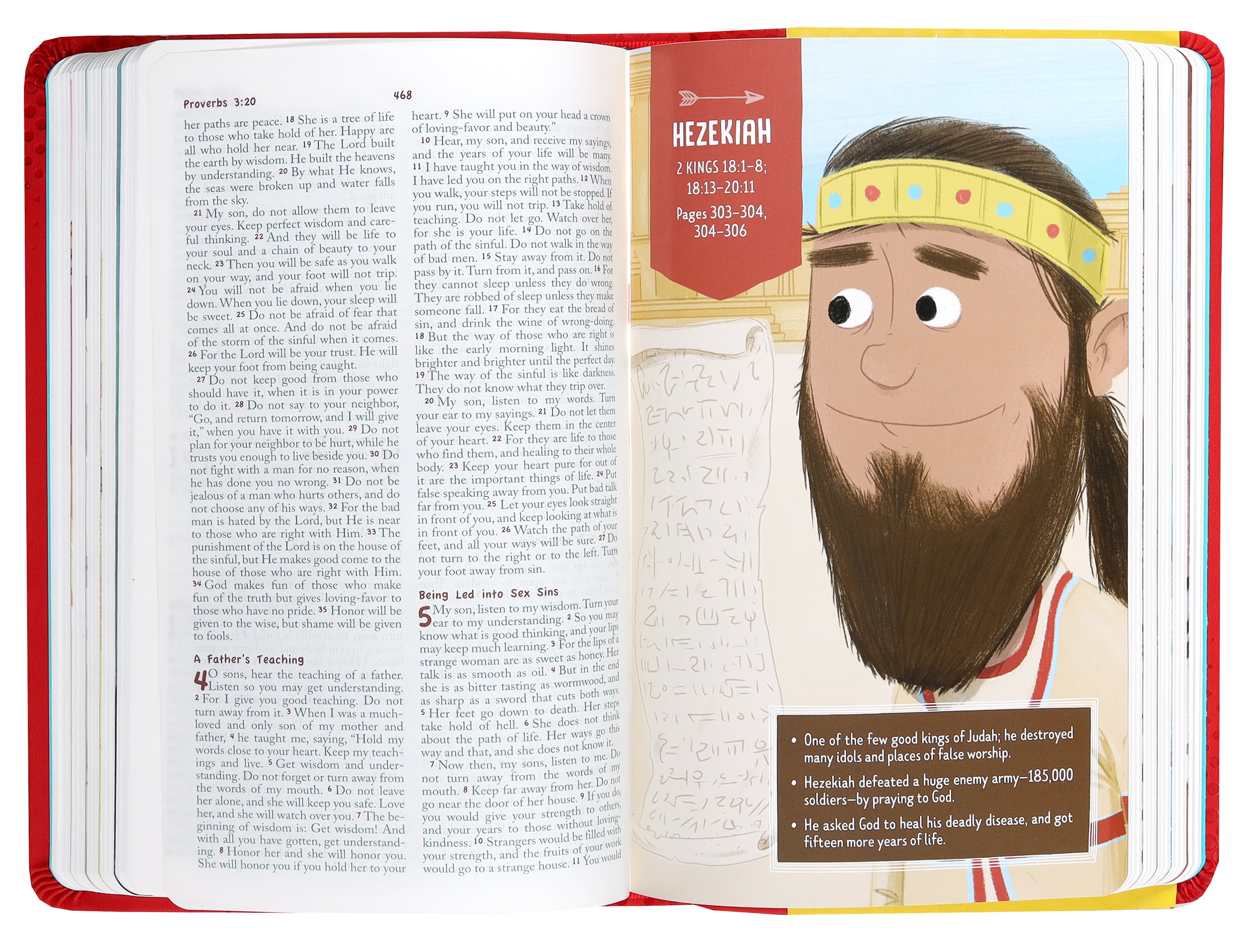 The NLV  Bible For Brave Boys (New Life Version)