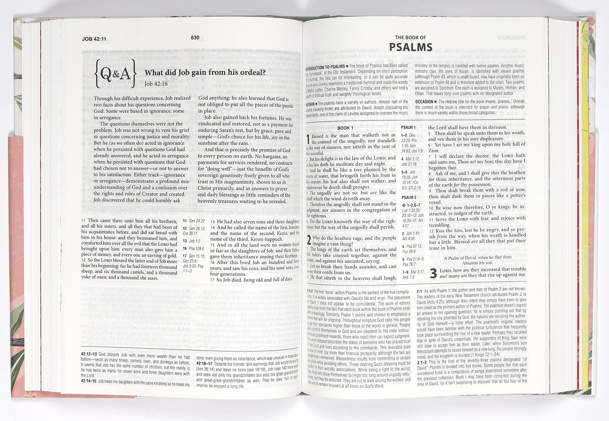KJV Cross Reference Study Bible Women's Edition Sage Songbird (Red Letter Edition)