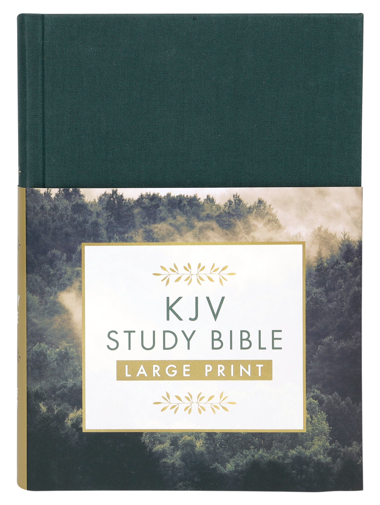 KJV Study Bible Large Print Gold Spruce (Red Letter Edition)