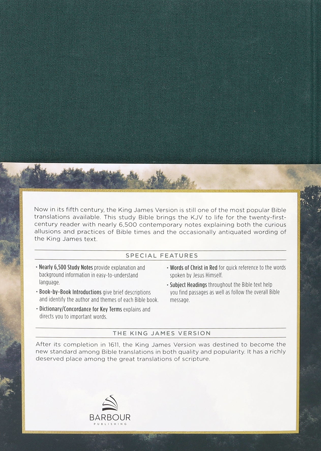 KJV Study Bible Large Print Gold Spruce (Red Letter Edition)