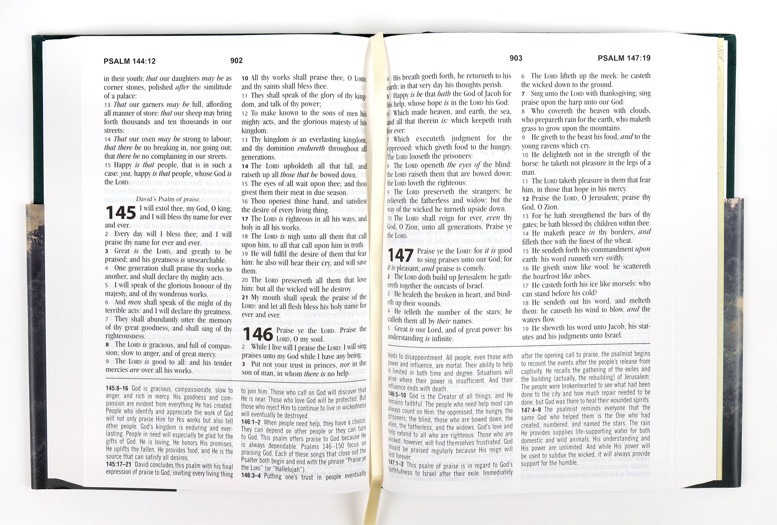 KJV Study Bible Large Print Gold Spruce (Red Letter Edition)